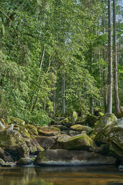 Gemeinde Waldkirchen Landkreis Freyung-Grafenau Saußbachklamm (Dirschl Johann) Deutschland FRG